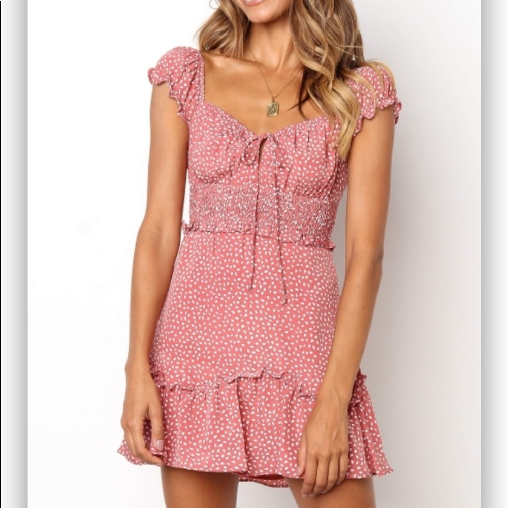 Petal and Pup Swan Dress in Rose